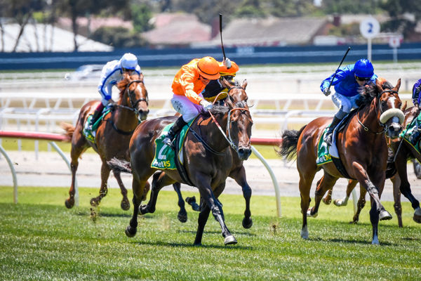 The Michael, Wayne and John Hawkes-trained colt justified the faith of punters by defeating the Star Turn colt Pegasi by one and a quarter lengths with the Medaglia d'Oro (USA) colt Micro a short-half-head back in third.